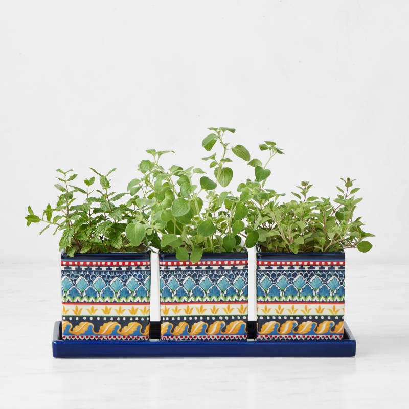 Sicily Herb Planter Set