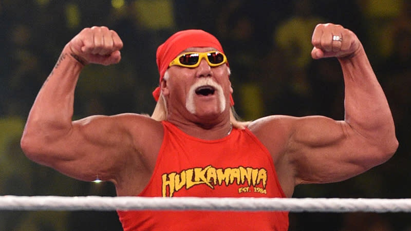 hulk hogan