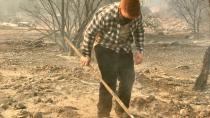 Houses built too close to bush spread huge California fires on 'front line of climate change'