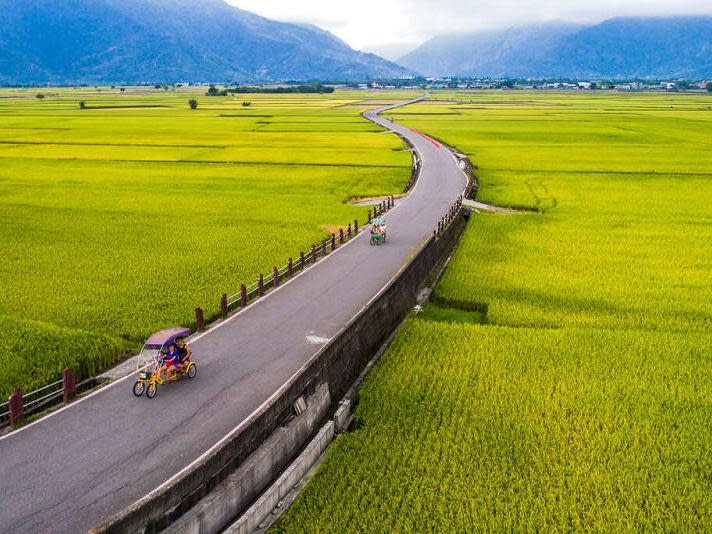 池上環鄉自行車道（圖片來源：花東縱谷國家風景區）