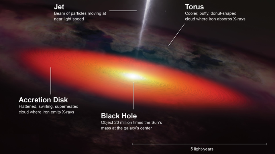 An illustration showing the anatonmy of the supermassive black hole and AGN at the heart of NGC 4151