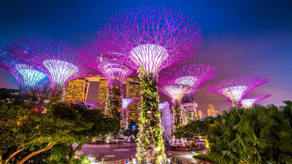 Singapore, Singapore - November 4, 2016: Illuminated Supertrees and Skywalk in Gardens by the bay in Singapore at night.