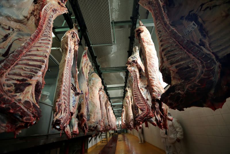 FILE PHOTO: Workers walk behind beef carcasses at the Ecocarne Meat Plant slaughterhouse in San Fernando