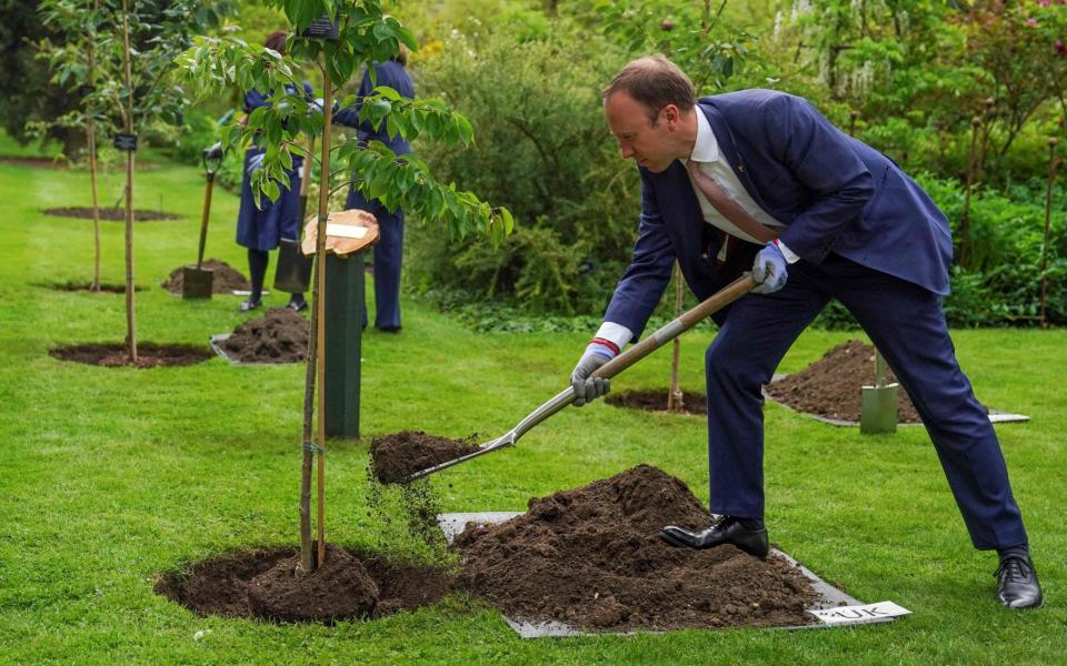Health Secretary Matt Hancock plants a tree during a memorial tree planting ceremony at Oxford Botanic Gardens, following the G7 Health Ministers Meeting on June 4 2021 - Steve Parsons/AFP