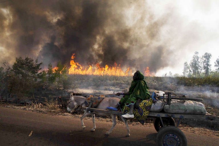 A person drives a donkey cart on January 23, 2013, as a fire burns along the road between Sango and Niono, used by Malian and French convoy heading to Diabaly. African forces on Wednesday began moving towards Mali's centre, the French foreign minister said, as pressure grew on Malian troops over summary killings in a Paris-led assault on Al Qaeda-linked groups