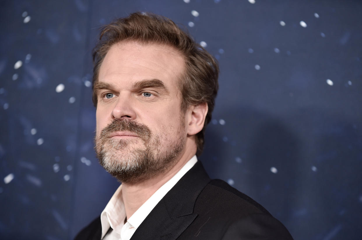 HOLLYWOOD, CALIFORNIA - NOVEMBER 29: David Harbour attends the premiere of Universal Pictures' 