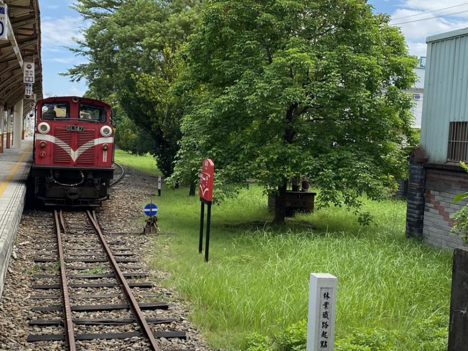 暑假開始加上補助上路，嘉義到十字路、奮起湖的小火車班次班班客滿。（中央社）