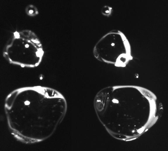 Classifying precipitation near the freezing point of water is especially challenging. The new camera system developed with NSF funding provides information on particle composition, speed, size and angle. To see this image in 3-D, stare at the c