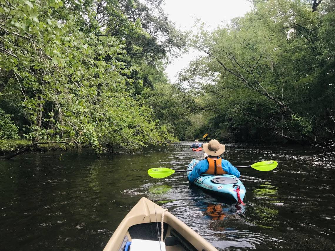 A fallen tree forms one of the few technical places on this stretch of the Edisto River below Colleton State Park and is easily negotiated by kayakers Alan Russell and Tom Taylor.