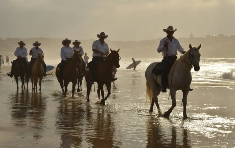 Most of the drovers in the 'Herd of Hope' are transplant recipients themselves