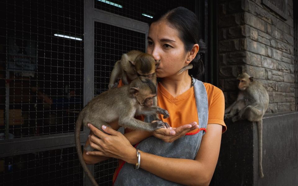 Supaporn Tantiwon kisses one of the two long-tailed macaques that climbed onto her shoulders outside the spare parts store