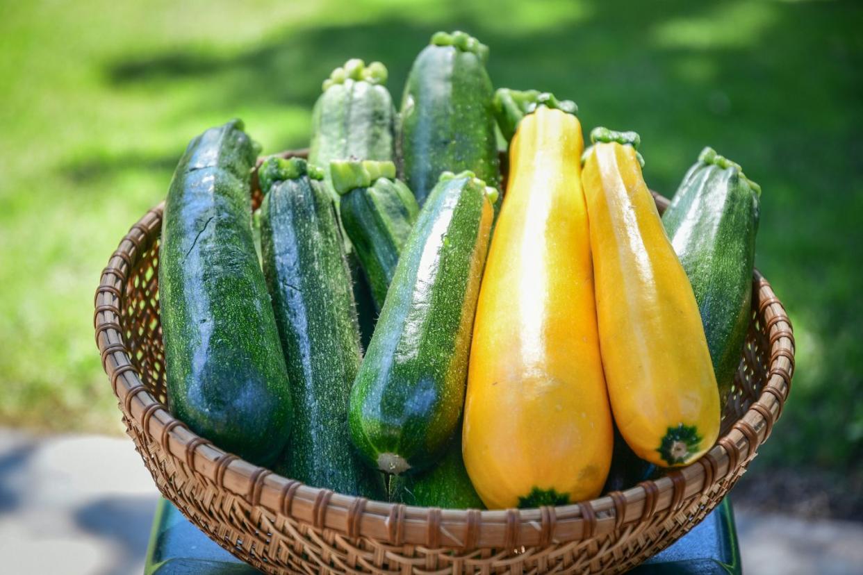 summer vegetables zucchini