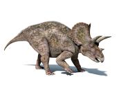 <p><strong>State Dinosaur: Triceratops </strong></p><p>There's fossil evidence of this horned dino roaming through Wyoming. Also, the state sport is the rodeo. </p>