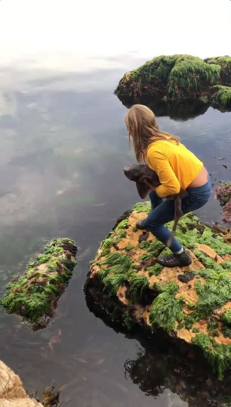 Social media video grab of Billie Rea rescuing a draughtboard shark