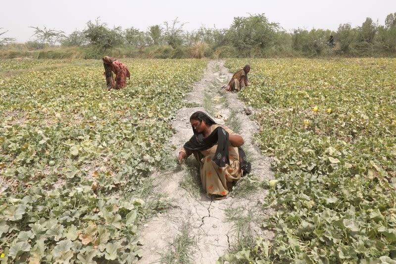 The Wider Image: In hottest city on Earth, mothers bear brunt of climate change