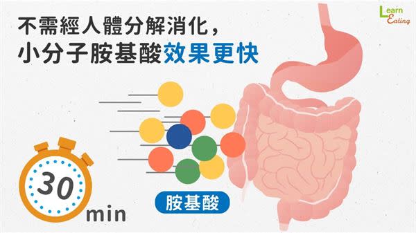 運動族群注意！除了補充蛋白質，更該注意我們吃到的是什麼胺基酸