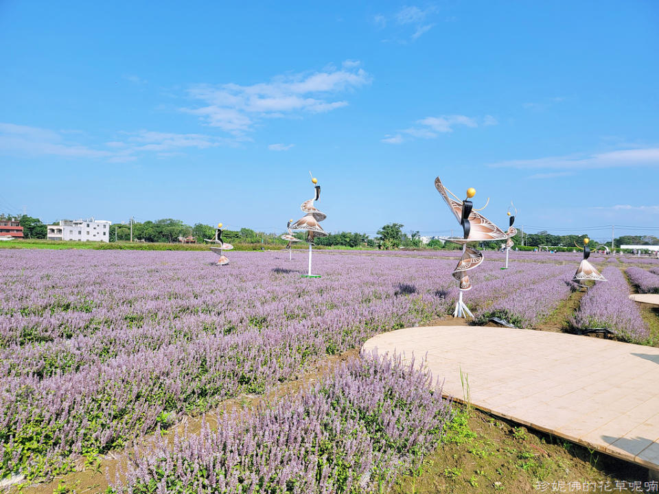 2022桃園仙草花節～仙茶之舞