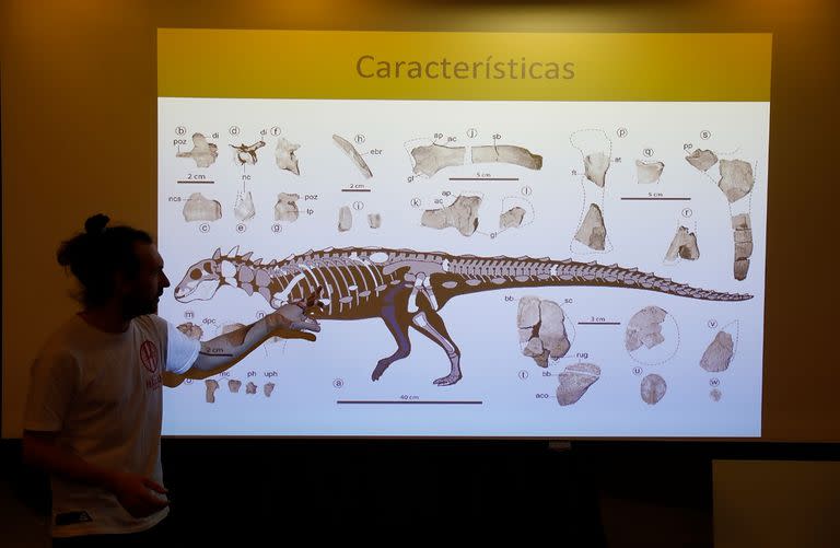 Presentación de un nuevo dinosario en la fundación Azara