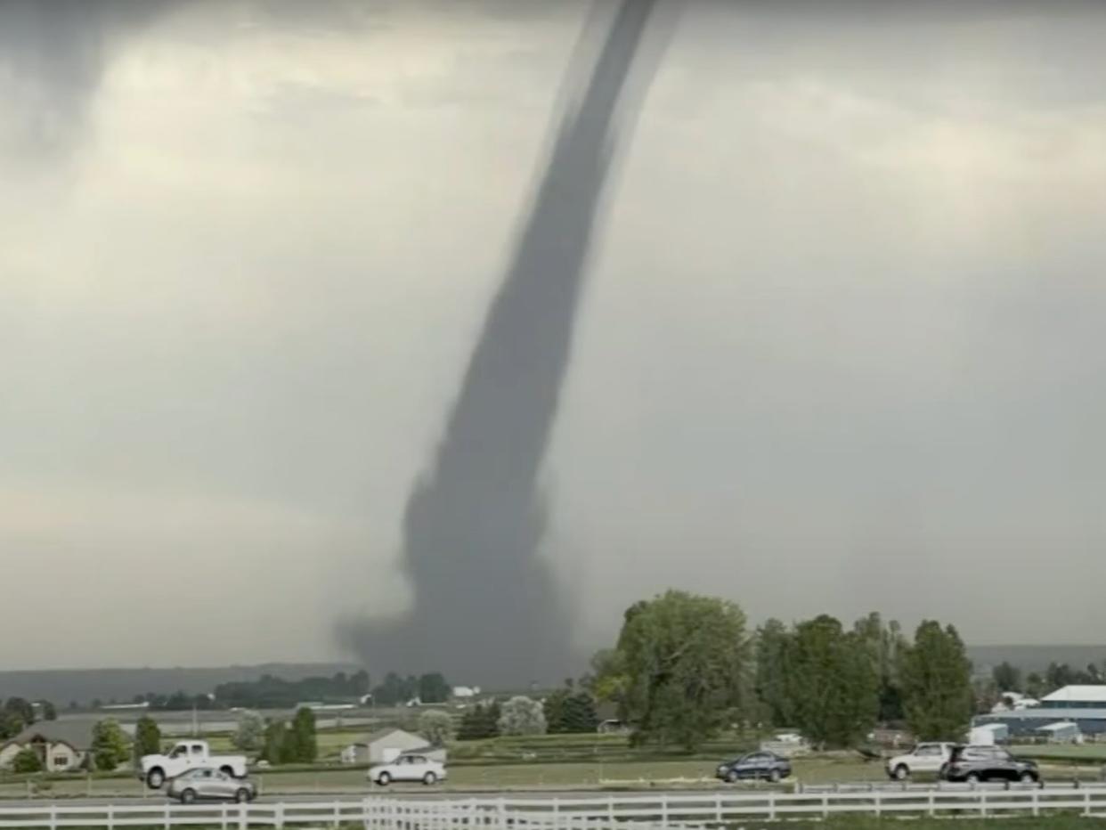 <p>A tornado ripped apart buildings and killed farm animals north of Denver in Colorado. </p> (CBS Denver)