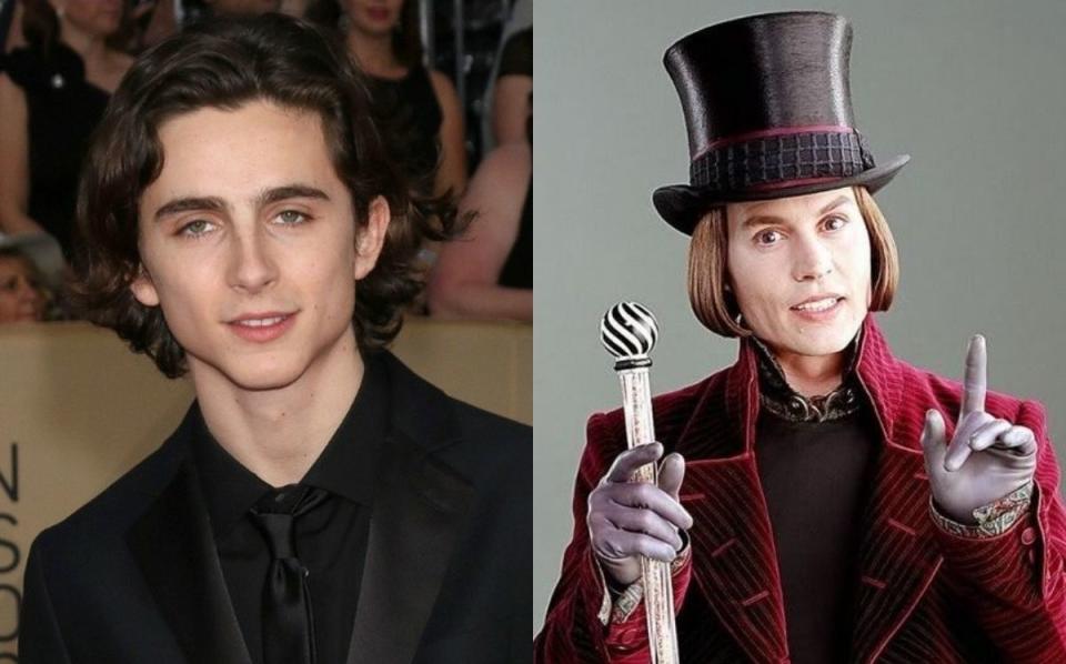 Timothée Chalamet será un joven Willy Wonka en nueva película - Grupo  Milenio