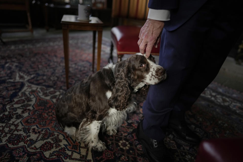 Ohio Gov. Mike DeWine touches his dog Dolly during an interview with The Associated Press at the Ohio Governor's Residence in Columbus, Ohio, Thursday, Dec. 21, 2023. (AP Photo/Carolyn Kaster)