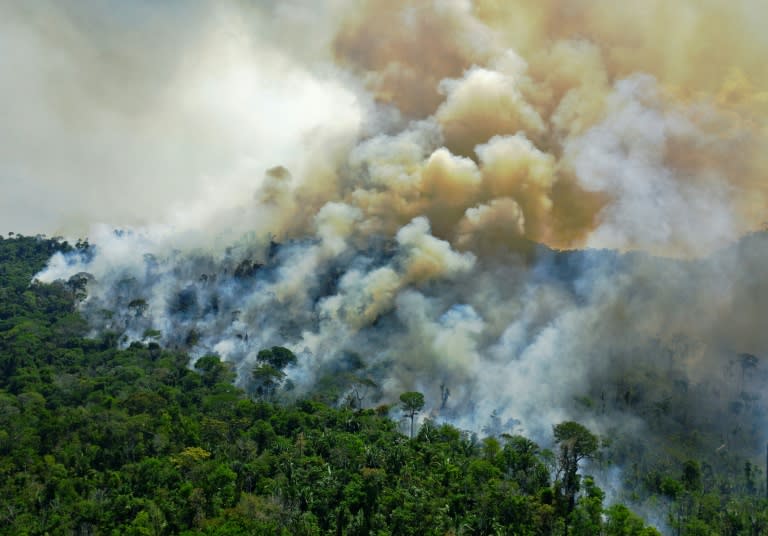 Une zone de la réserve de forêt amazonienne en feu, au sud de Novo Progresso dans l'État de Para, au Brésil, le 16 août 2020 (CARL DE SOUZA)