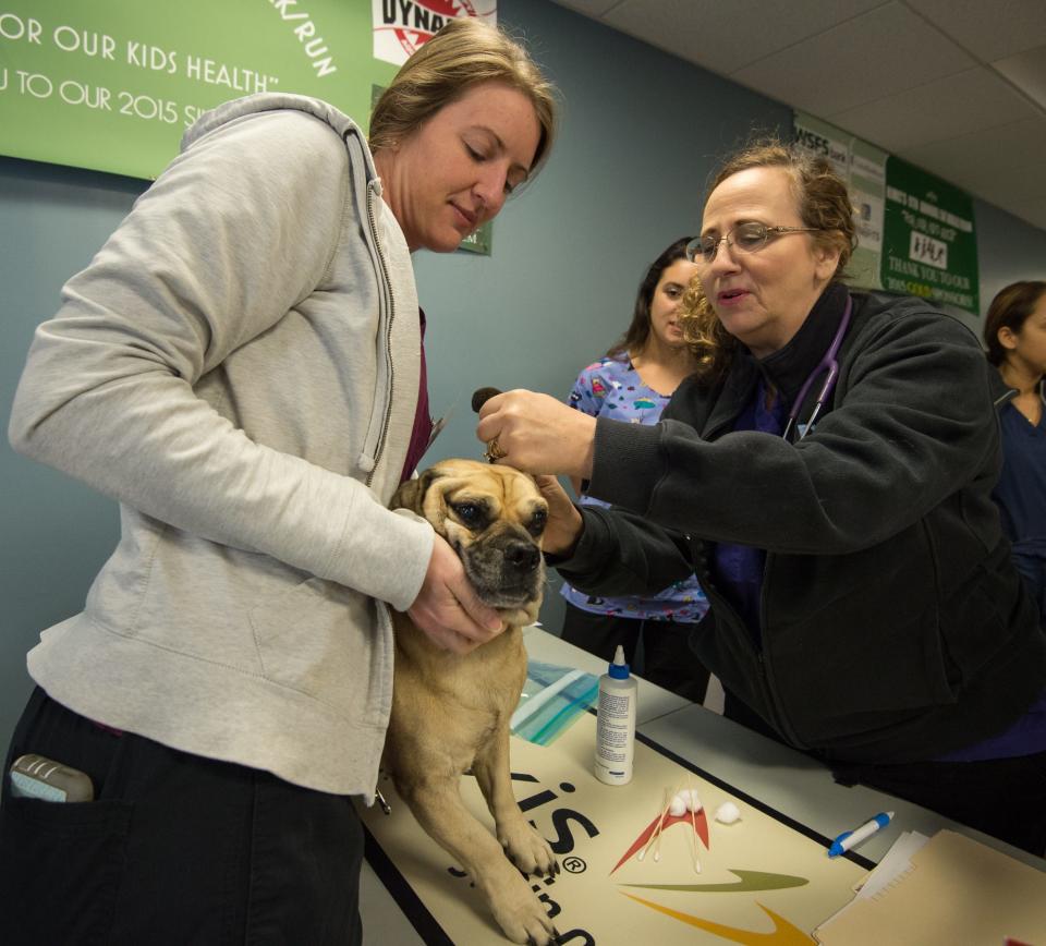 Danielle Lloyd, left, a veterinarian technician and veterinarian Dr. Elissa Green examine Bear, a pug beagle mix during a free pet wellness examination at the Henrietta Johnson Health Center in Wilmington.  On the first Saturday of every month, residents can bring in their pets for free exams, medications and vaccinations.