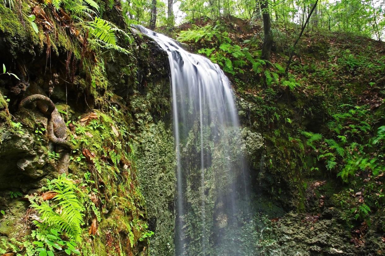 Falling Waters State Park, Chipley, Florida