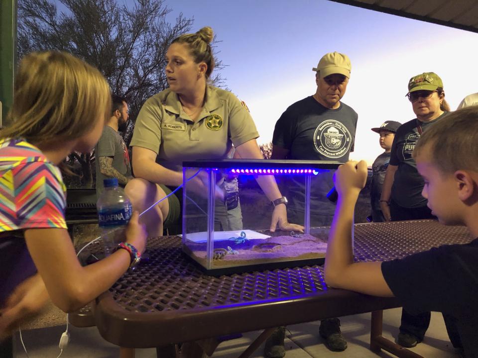 This Aug. 18, 2019 photo shows Park Ranger Anna Roberts, center, talking about scorpions and how to catch them in Lost Dutchman State Park, Ariz. Feared, admired and loathed, scorpions have roamed the earth for 450 million years. An interesting way to learn about the critters, which glow under black lights, is to go on scorpion hunts in Southwest states like Arizona and New Mexico. Wear closed-toed shoes and pants, bring black lights and prepare to be awed. (AP Photo/Peter Prengaman)