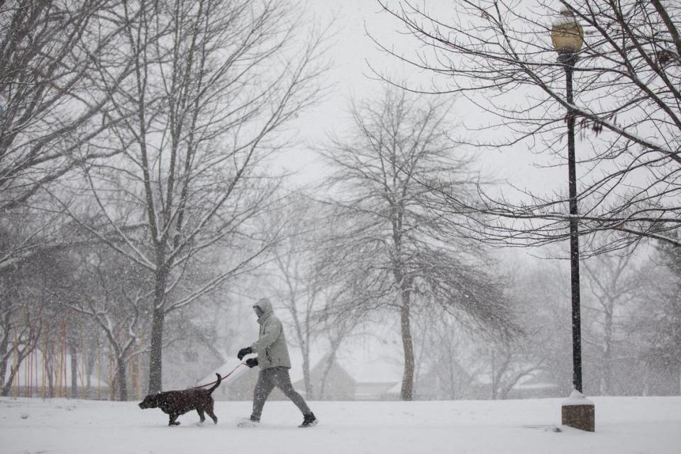 A pedestrian walks their dog as snow falls for the first time in the new year, Thursday, Jan. 6 at Duncan Park.