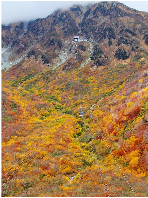 日本立山黑部阿爾卑斯山脈路線