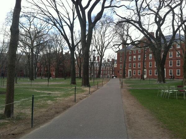 Harvard Yard as ghost town (via Twitter <a href="https://twitter.com/ledbetreuters" rel="nofollow noopener" target="_blank" data-ylk="slk:@ledbetreuters;elm:context_link;itc:0;sec:content-canvas" class="link ">@ledbetreuters</a>)