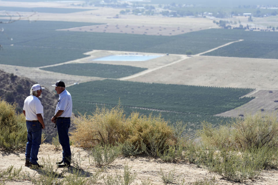 Lee Harrington, left, talks with fellow farmer Jim Wegis on a hilltop overlooking pistachio orchards, Wednesday, Sept. 20, 2023, in Ventucopa, Calif. Harrington and Wegis are among the small farmers, cattle ranchers and others living near the tiny town of New Cuyama whose water supplies and livelihoods are at the heart of a groundwater rights lawsuit brought by two of the nation's biggest carrot farming companies. (AP Photo/Marcio Jose Sanchez)