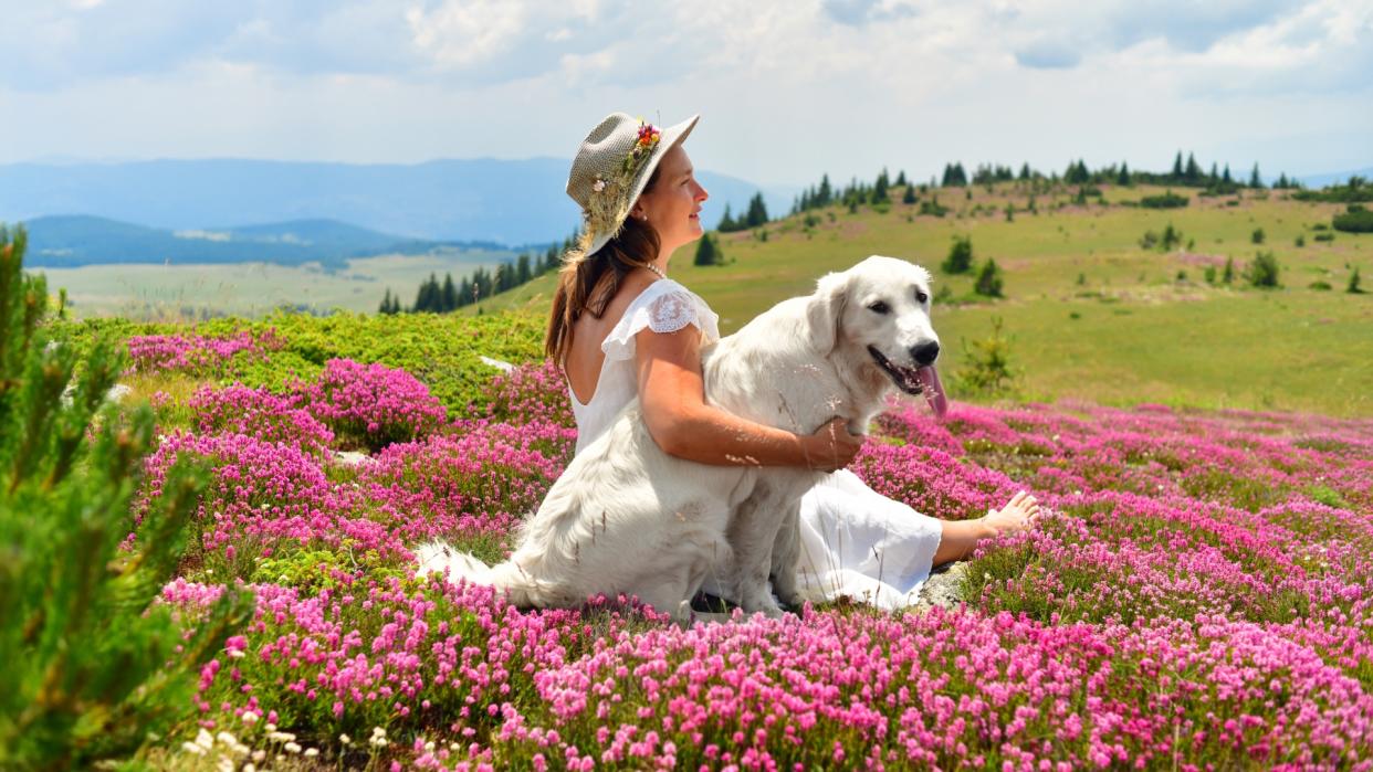  Woman and dog in field of flowers. 