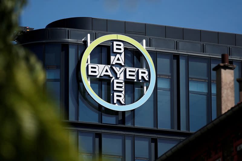 FILE PHOTO: The Bayer AG logo sits on display at the headquarters in La Garenne-Colombes, near Paris