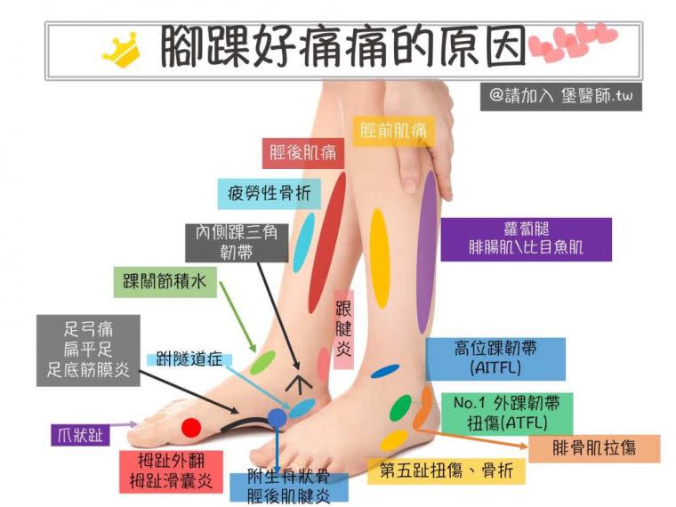 圖片由侯鐘堡醫師提供