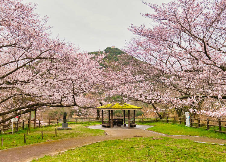 There is a path around the dam, so you can enjoy a leisurely walk