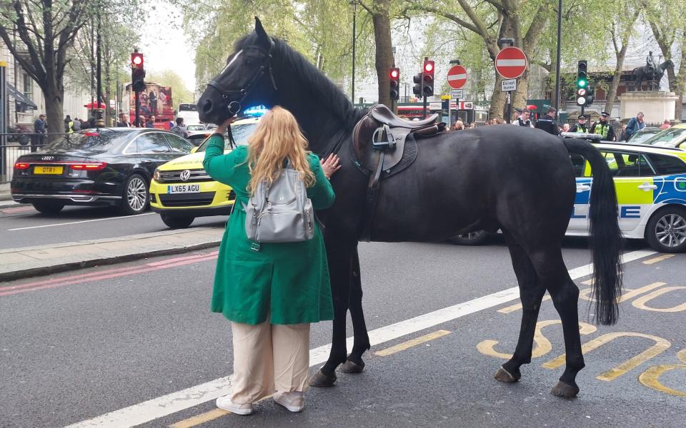 A horse is comforted by a pedestrian near the incident