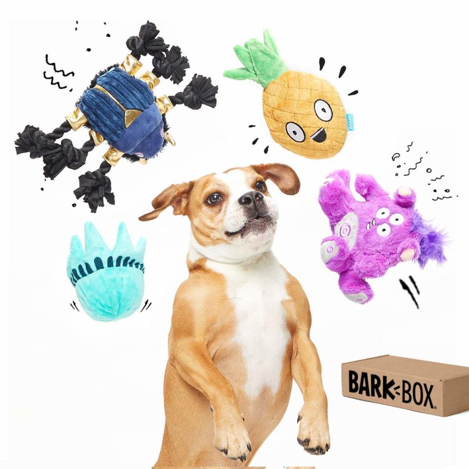 BarkBox Best of Box Plush Toy Bundle for Large Dogs