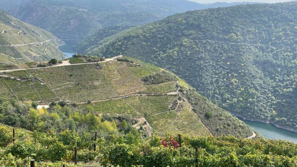 Ribeira Sacra es una ruta del Camino, con monasterios, iglesias y viñedos.