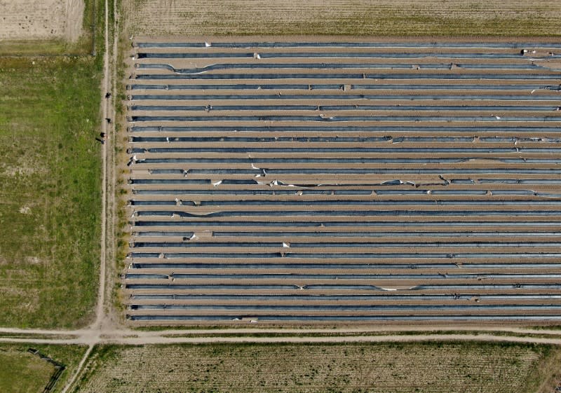 An aerial picture shows an asparagus field near Dormagen