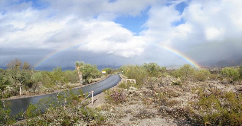 A rainbow stretches over Cactus Forest Drive at Saguaro National Park.