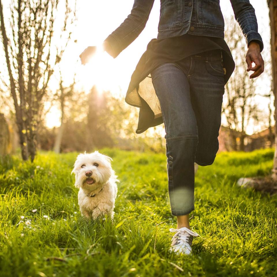 woman running in a sunny field with a dog