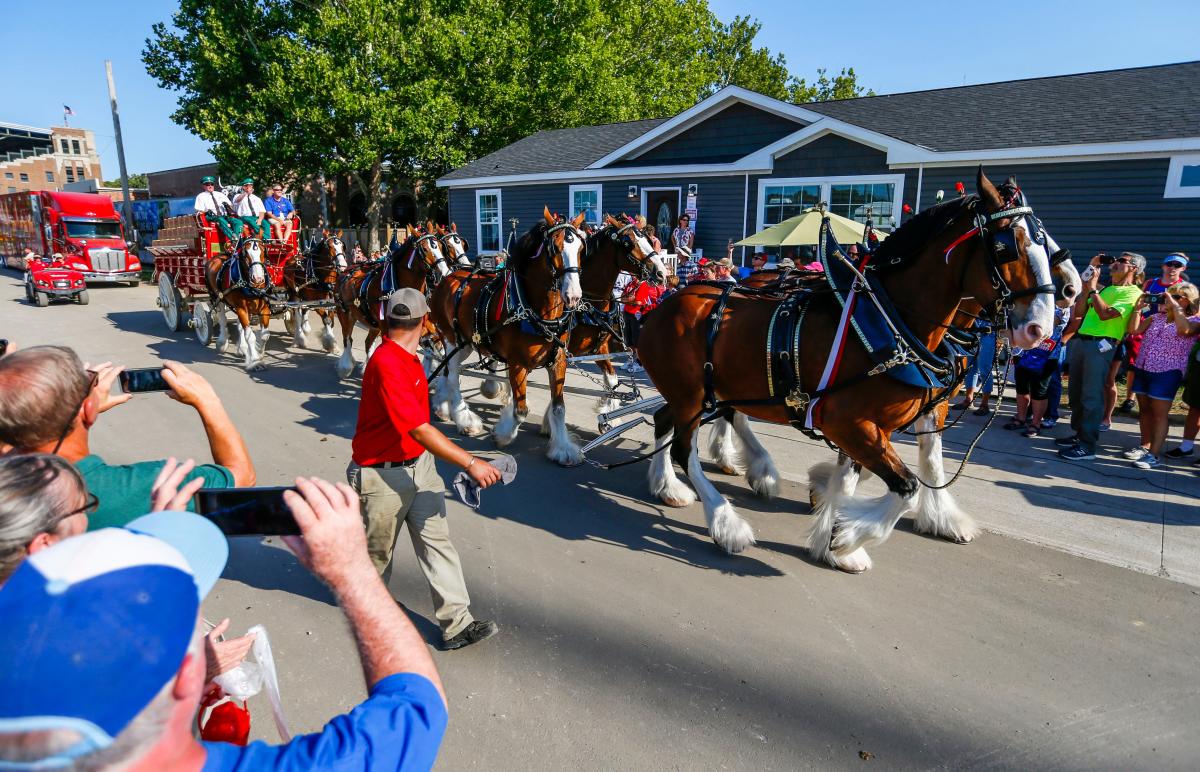 budweiser clydesdale horses tour