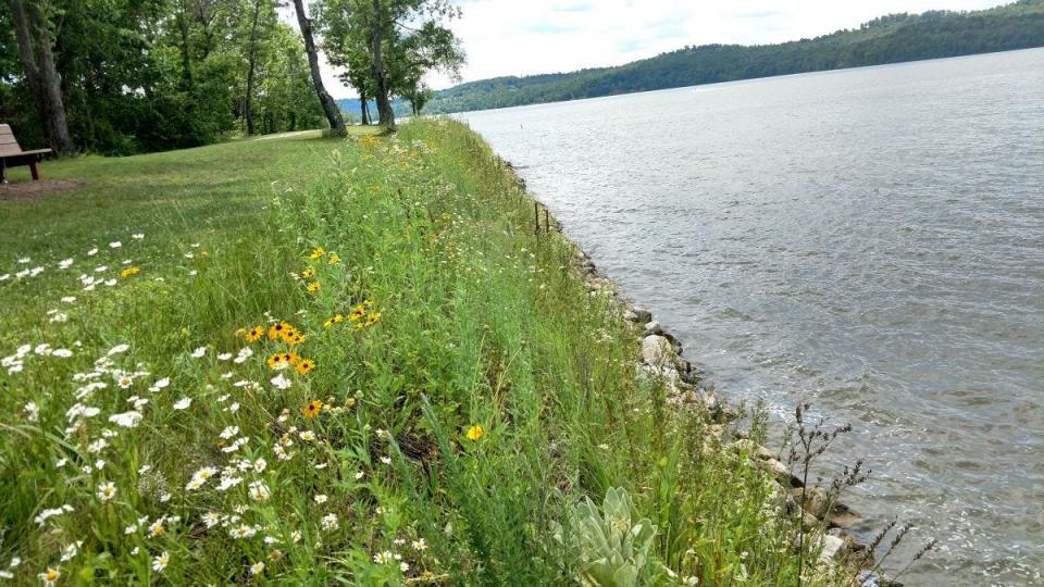 The shoreline project at Seneca Lake. The annual winter drawdown is scheduled to begin on Nov. 1.