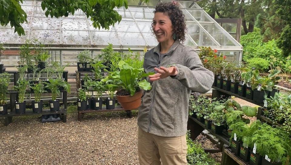 Kristin McCullin,  Allen C. Haskell Public Gardens's horticulturist, prepares for 20mi2's pottery, plants and cut flowers pop-up.