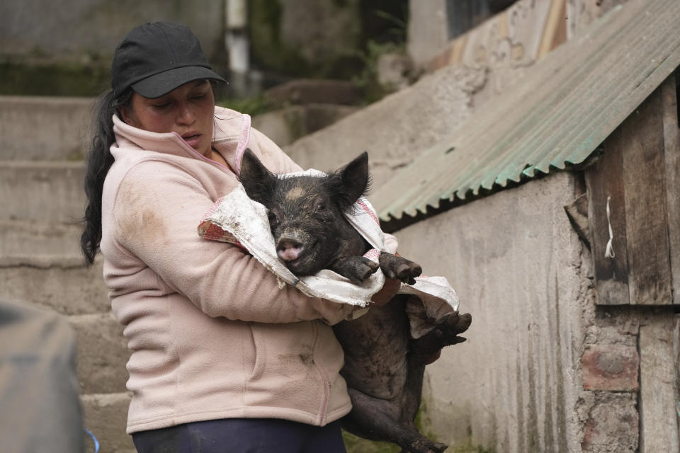A resident carries a pig from her house after a deadly landslide buried dozens of homes in Alausi, Ecuador, Monday, March 27, 2023. (AP Photo/Dolores Ochoa)