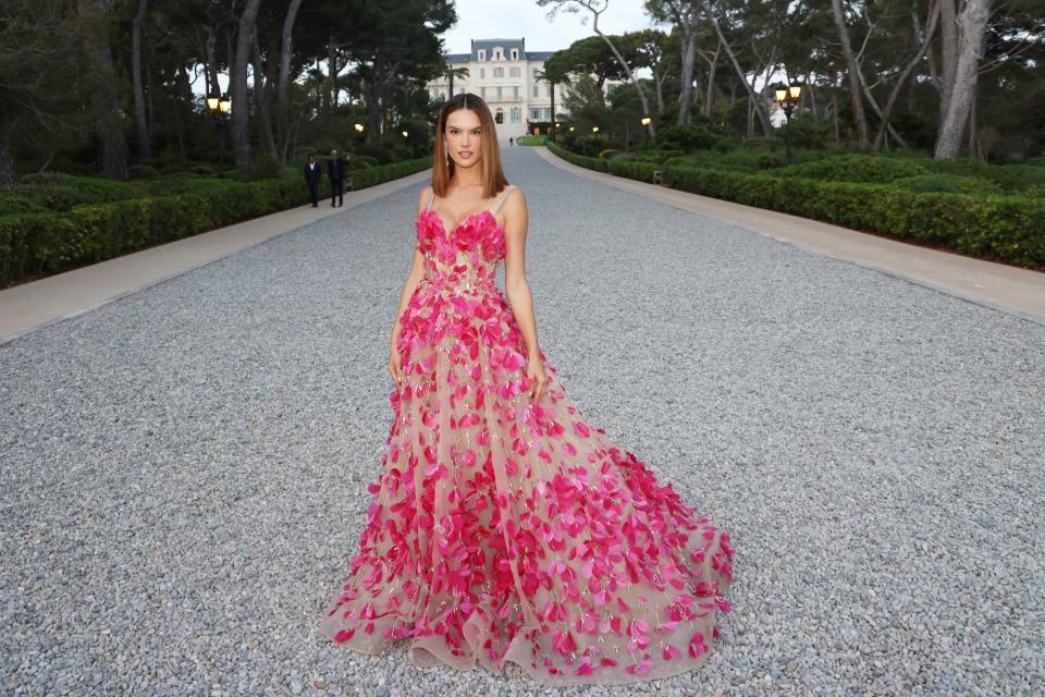 <p>Regia lució la modelo llevando esta pieza de plumas rosas creada por Elie Saab.</p>