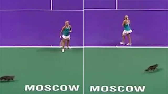 What was that? Image: WTA