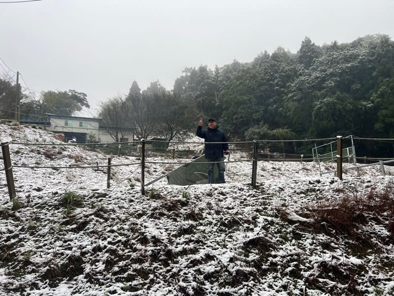 寒流發威，新北市三峽的農場與茶園23日一早下雪，這是三峽繼2016年霸王級寒流後睽違8年再度飄雪。（中央社／民眾提供）